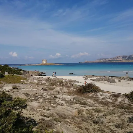 Con Piscina A Due Passi Dalla Bellissima Spiaggia Apartment *